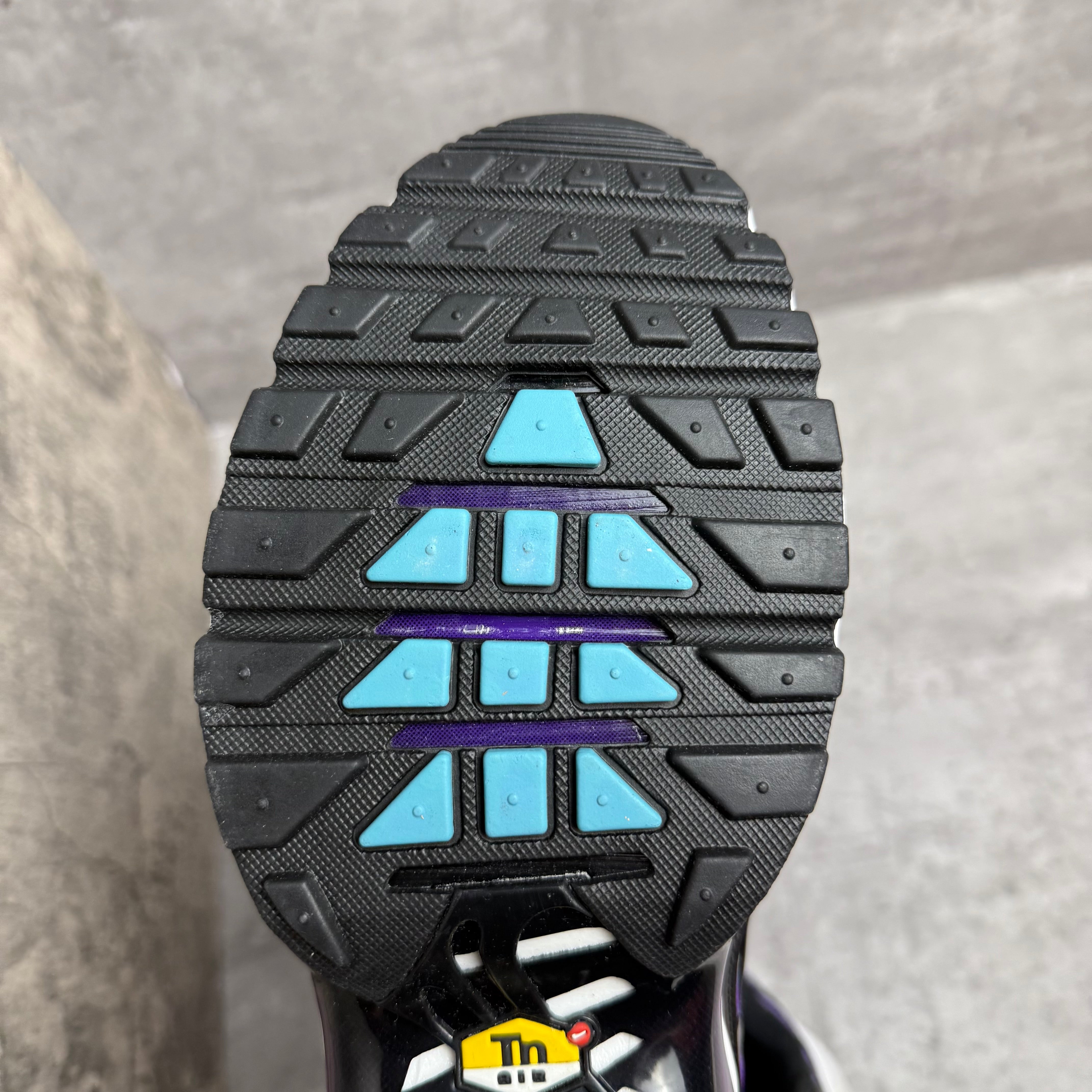 Nike Airmax Plus TN Reverse Grape