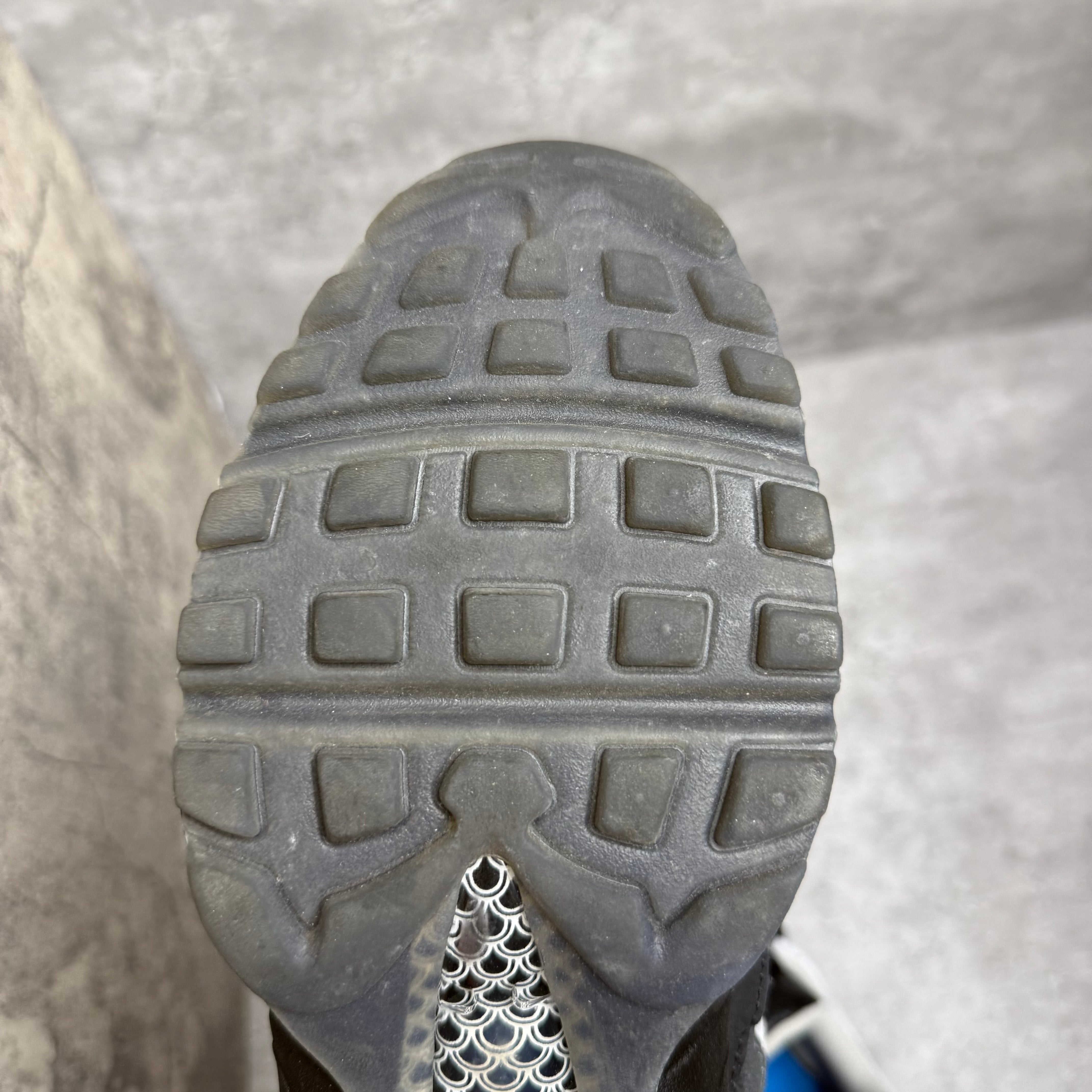 Nike Airmax 95 Koi Fishscale