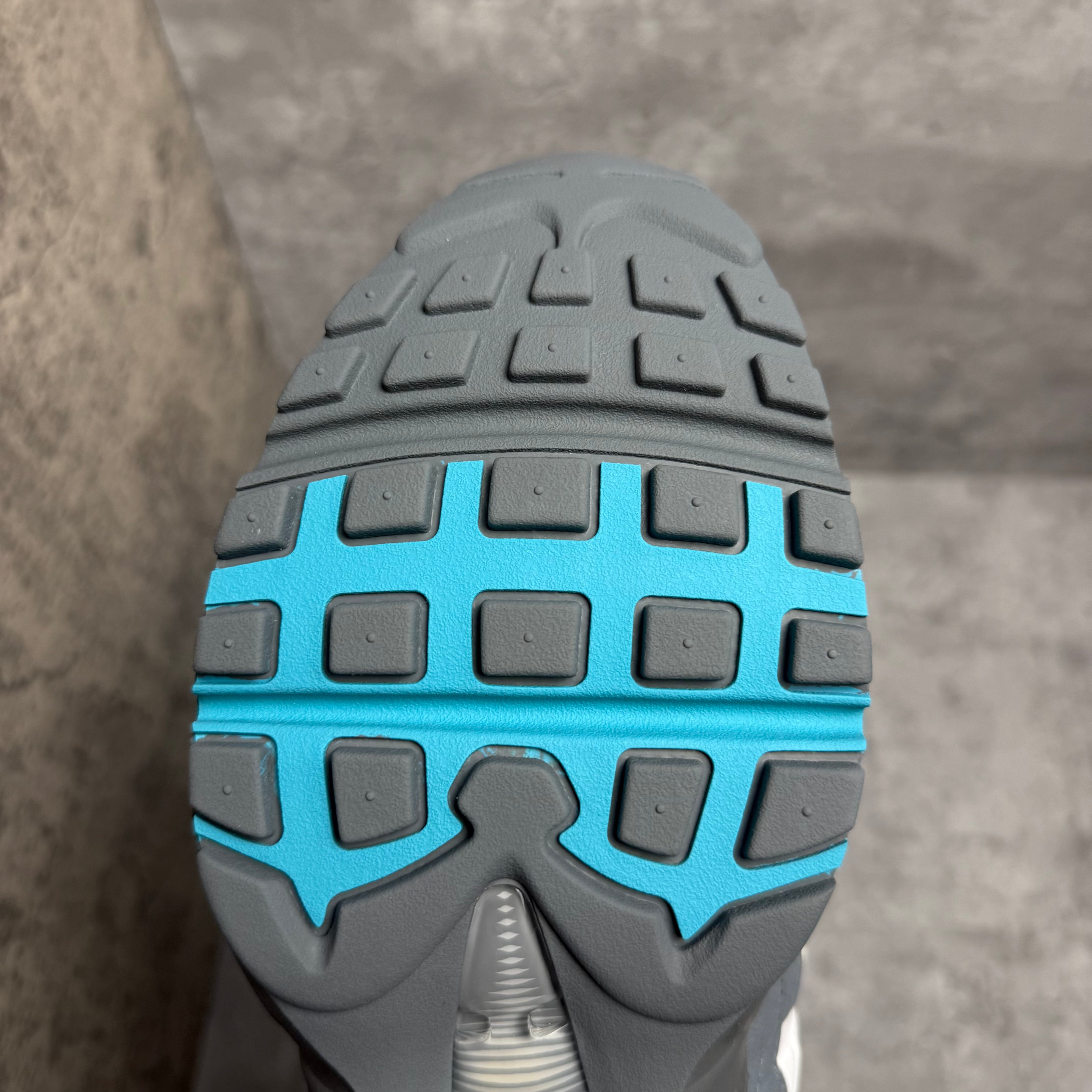 Nike Airmax 95 Dusty Cactus