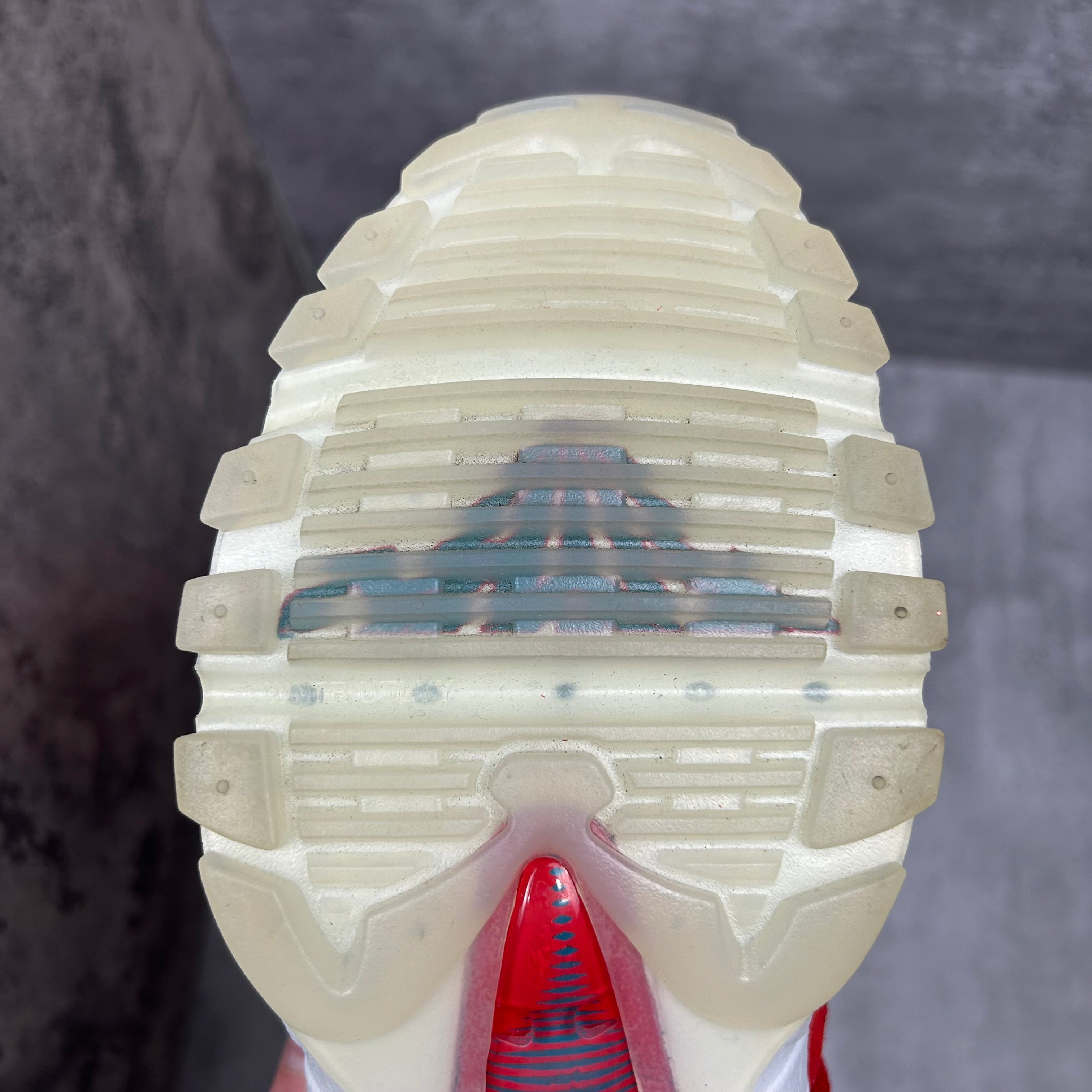 Nike Airmax 95 Mount Fuji