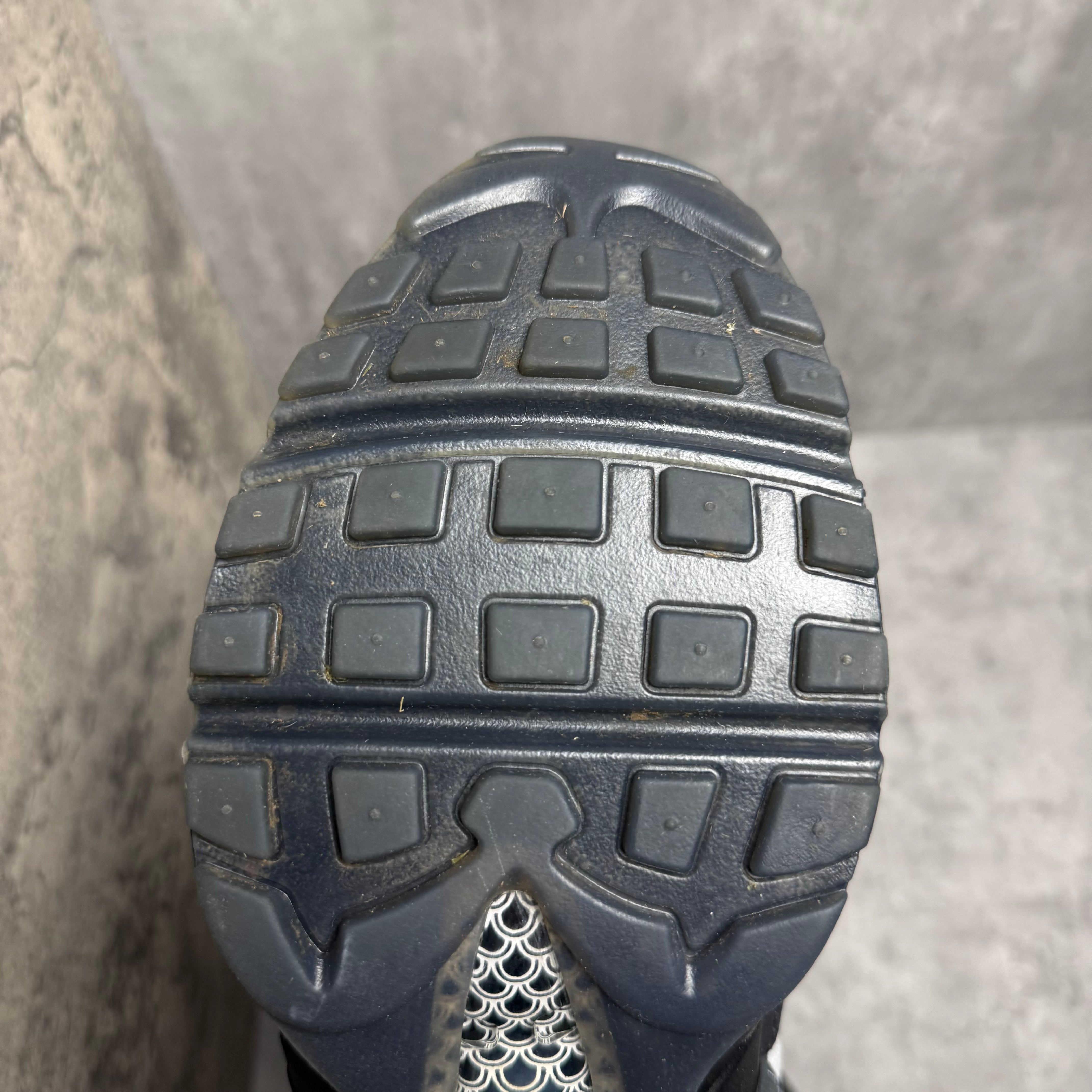 Nike Airmax 95 Koi Fishscale