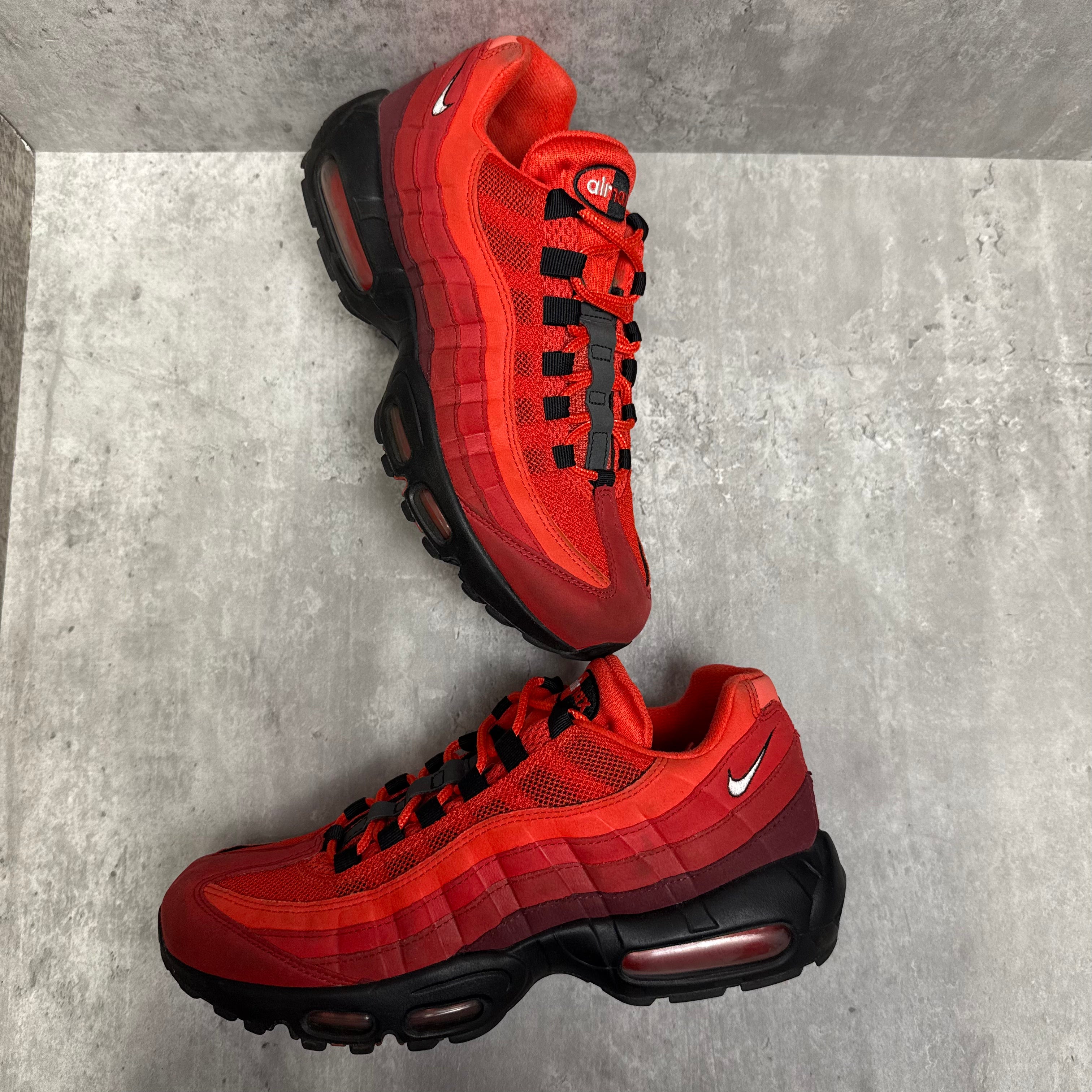 Nike Airmax 95 Habanero