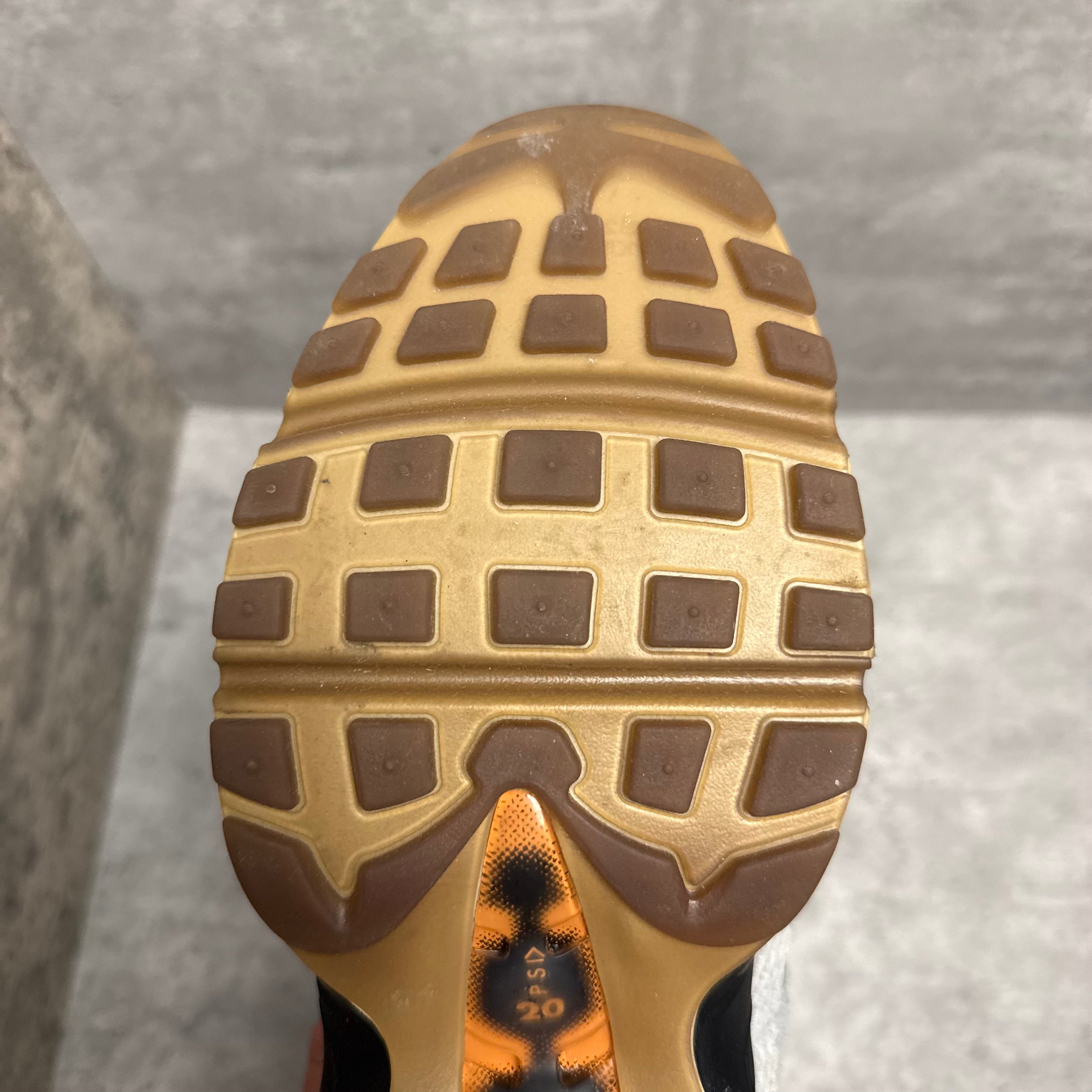Nike Airmax 95 FP 110