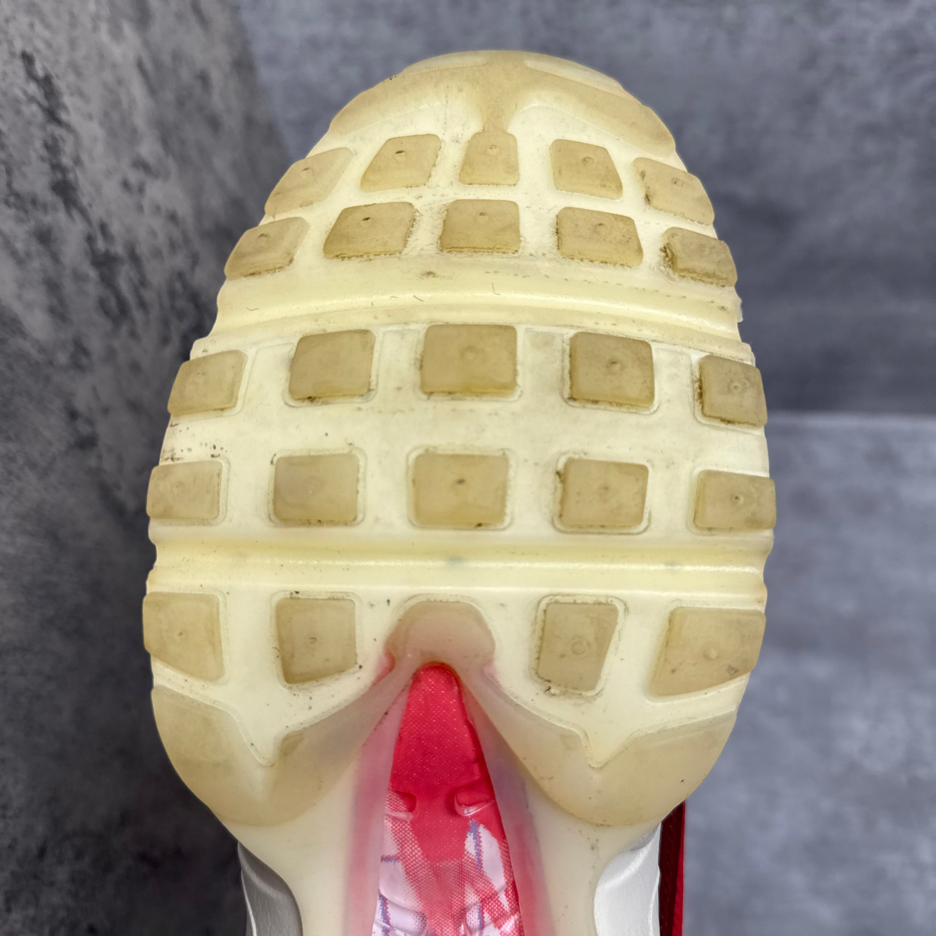 Nike Airmax 95 Anatomy - Cheshire Creps 